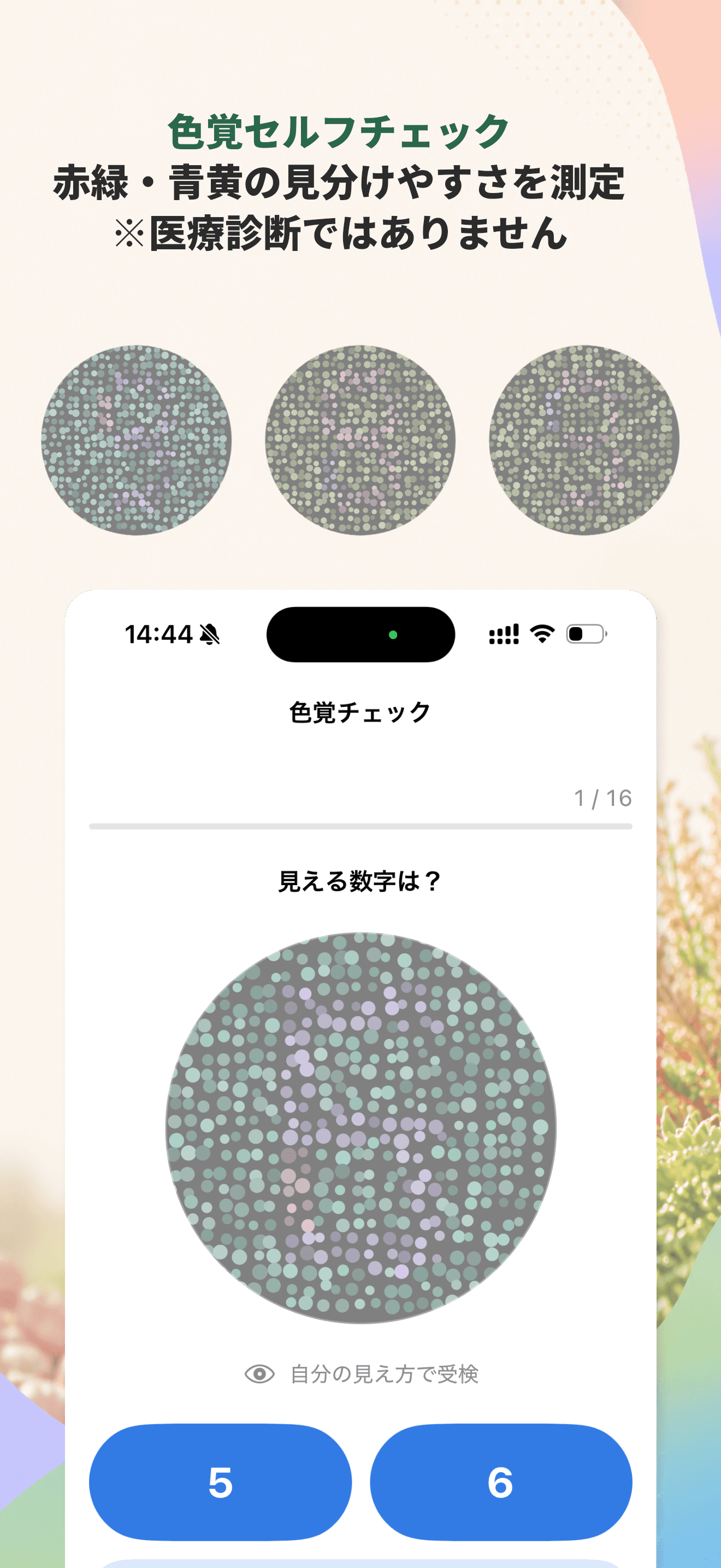 色覚セルフチェックの画面